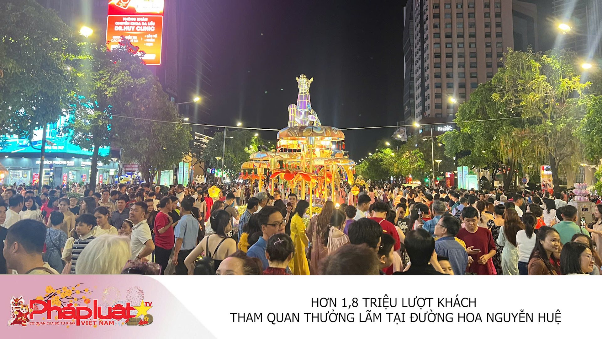 Hơn 1,8 triệu lượt khách tham quan thưởng lãm tại đường hoa Nguyễn Huệ