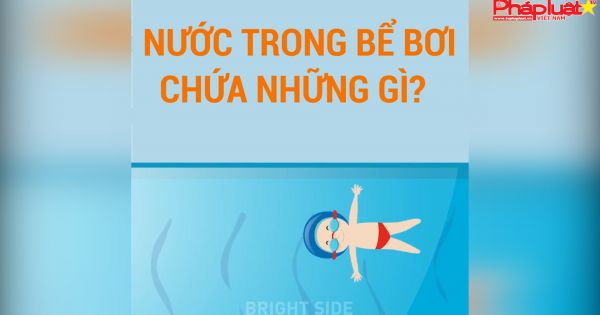 Nước trong bể bơi độc hại rất độc hại !