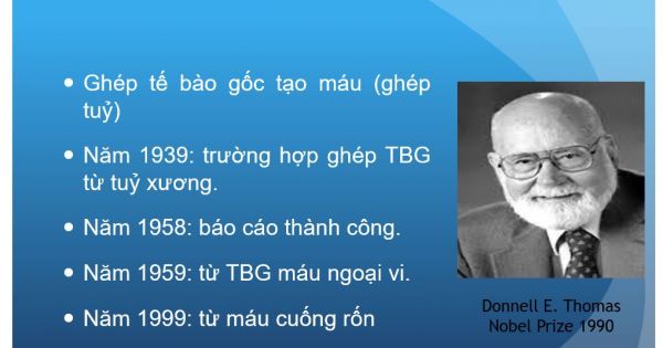 Bệnh viện Chợ Rẫy ghép thành công tế bào gốc máu ngoại vi tự thân