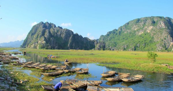 Mùa chim di trú trên đầm Vân Long