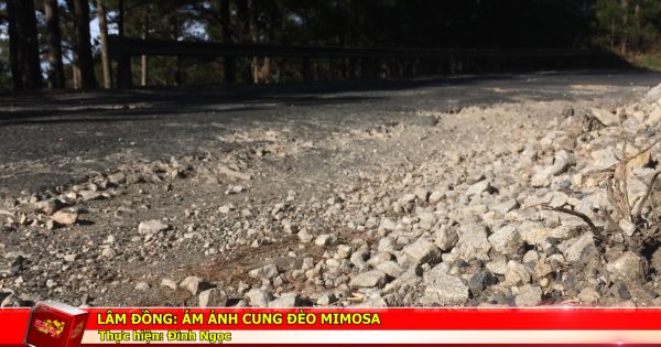 Lâm Đồng: Ám ảnh cung đèo mimosa