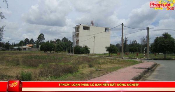 TPHCM: Loạn phân lô bán nền đất nông nghiệp