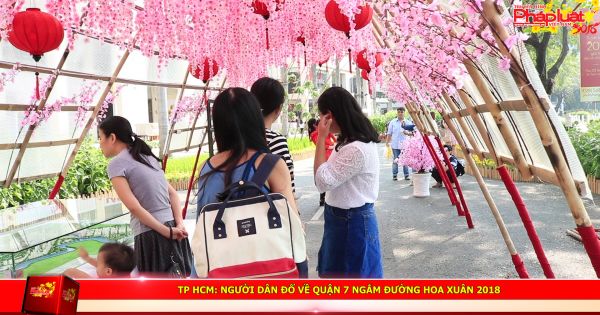 TP HCM: Người dân đổ về quận 7 ngắm Đường hoa Xuân 2018