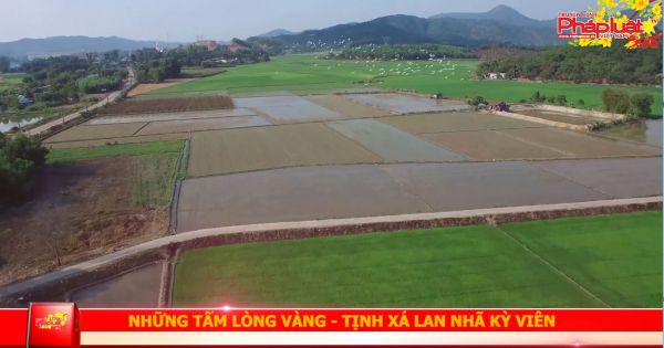 Những tấm lòng vàng - Tịnh xá Lan Nhã Kỳ Viên