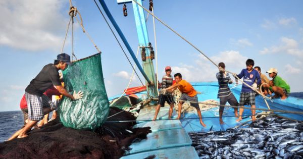 Phản đối Trung Quốc cấm đánh bắt cá trên Biển Đông