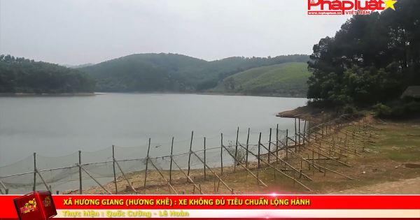 Xe không đủ tiêu chuẩn lộng hành