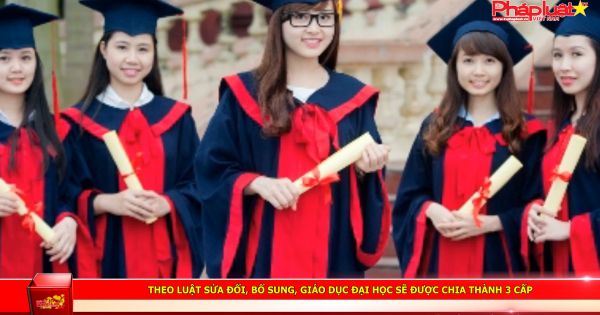 Giáo dục đại học sẽ được chia thành 3 cấp