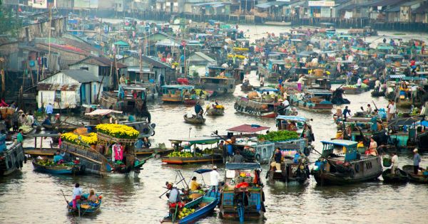 Cần Thơ: “Cò” tàu du lịch vẫn tung hoành