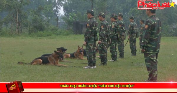 Thăm trại huấn luyện “siêu chó đặc nhiệm”