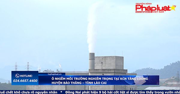 Tin Nóng 24h ngày 04/07/2018