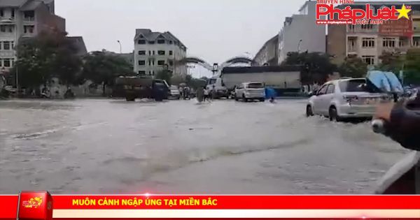 Miền Bắc nhiều nơi ngập úng nghiêm trọng.