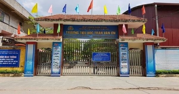 Hải Phòng: Kiểm điểm hiệu trưởng tự ý chấm dứt hợp đồng lao động với cô giáo đang bị ung thư