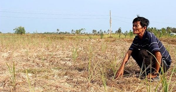 Đồng bằng sông Cửu Long đối diện với hạn mặn khốc liệt