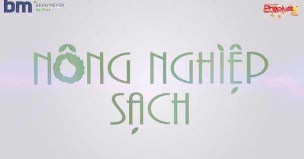 Nông nghiệp sạch số 5: Chăm Sóc, Sử dụng phân bón Cho Cây Thanh Long