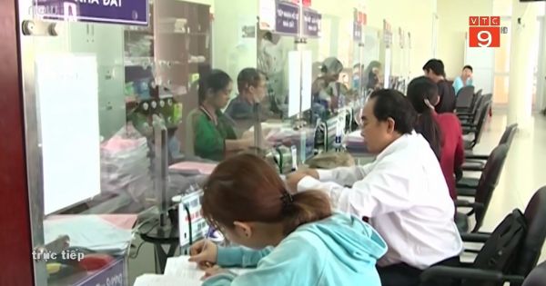 15% người dân phải 