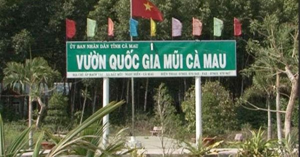 Chuyển cơ quan điều tra các sai phạm tại Vườn quốc gia Mũi Cà Mau