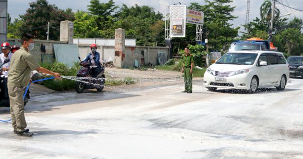 TPHCM tăng cường kiểm soát, cô lập ổ dịch tả lợn châu Phi