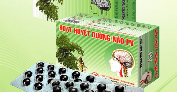 Thu hồi lô thuốc Hoạt huyết dưỡng não của Công ty CPDP Trường Thọ