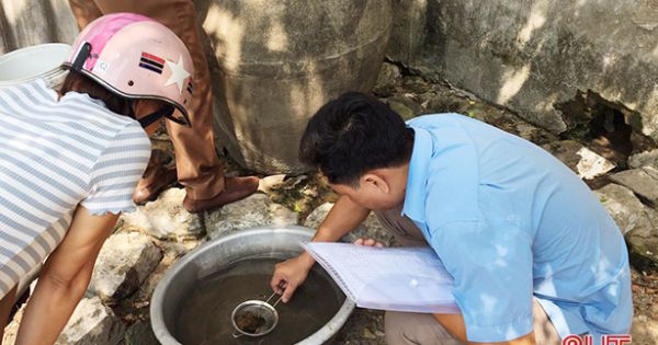 Hà Tĩnh xác định khu vực nguy cơ cao bùng phát dịch sốt xuất huyết Dengue