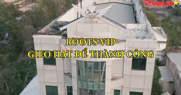 ROOTS VIP Gieo hạt để thành công