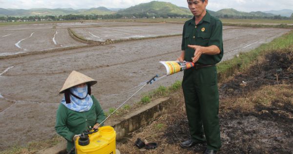 Cựu chiến binh vận động dân gom vỏ thuốc bảo vệ thực vật để bảo vệ môi trường