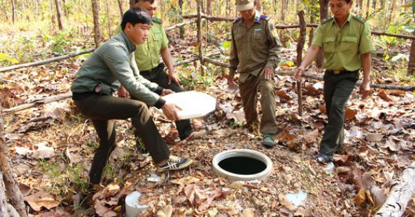 Phòng chống cháy rừng ở vùng biên