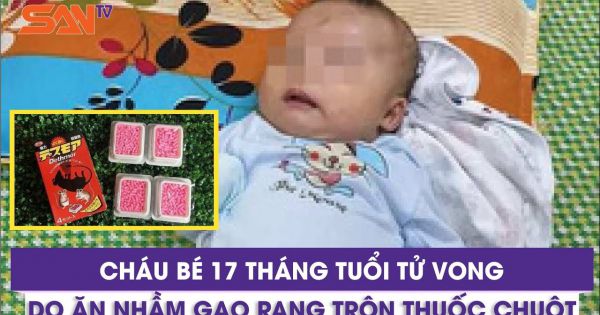 Bé 17 tháng tử vong do ăn nhầm gạo trộn thuốc chuột