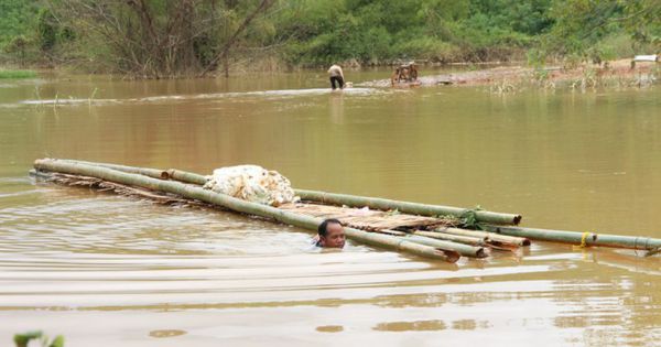 Yêu cầu thủy điện Plei Kần dừng tích nước, bồi thường thiệt hại