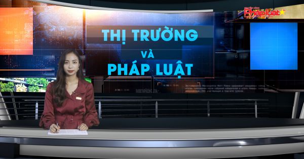 Bản tin Thị trường và Pháp luật ngày 08/11/2020