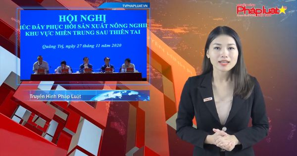 Hội nghị triển khai công tác khôi phục sản xuất nông nghiệp khu vực miền Trung sau thiên tai năm 2020