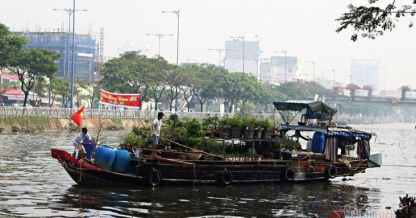 Thương hồ miền Tây chở hoa xuân lên Sài Gòn tìm Tết