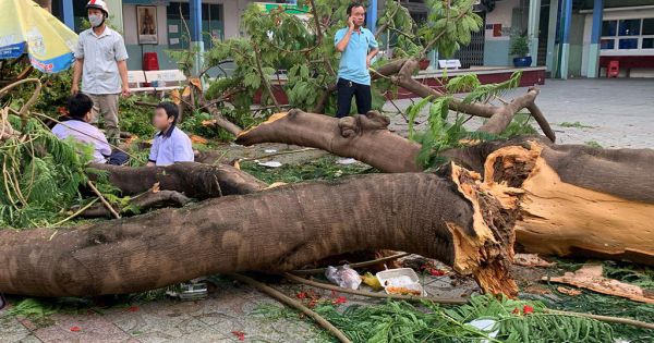 Rà soát hiện trạng cơ sở vật chất trường học mùa mưa bão tại