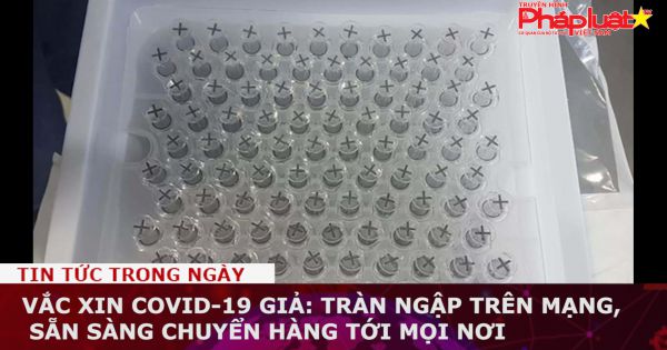 Vắc xin COVID-19 giả: Tràn ngập trên mạng, sẵn sàng chuyển hàng tới mọi nơi