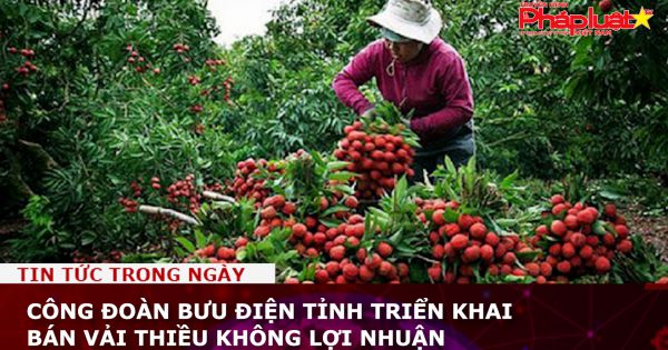 Công đoàn Bưu điện tỉnh triển khai bán vải thiều không lợi nhuận