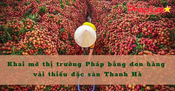 Bản tin thị trường tiêu dùng số 128: Khai mở thị trường Pháp bằng đơn hàng vải thiều đặc sản Thanh Hà