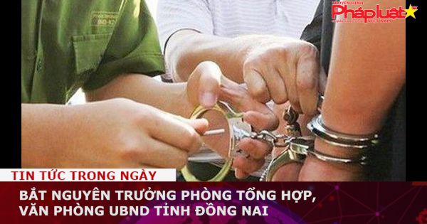 Bắt nguyên Trưởng phòng tổng hợp, Văn phòng UBND tỉnh Đồng Nai