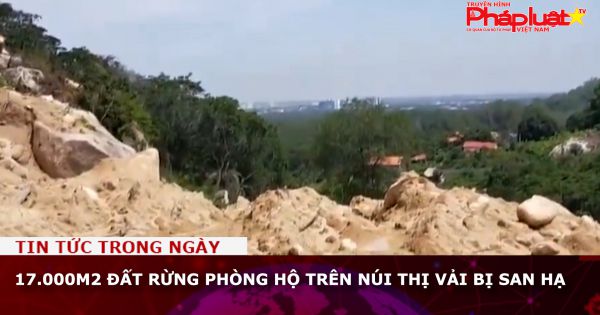 17.000m2 đất rừng phòng hộ trên núi Thị Vải bị san hạ