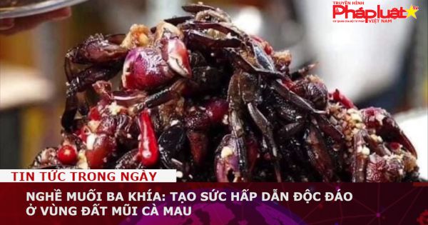 Nghề muối ba khía: Tạo sức hấp dẫn độc đáo ở vùng đất mũi Cà Mau