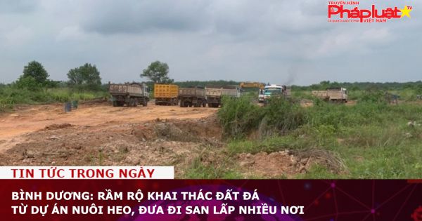 Bình Dương: Rầm rộ khai thác đất đá từ dự án nuôi heo, đưa đi san lấp nhiều nơi