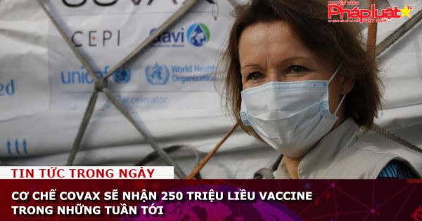 Cơ chế COVAX sẽ nhận 250 triệu liều vaccine trong những tuần tới