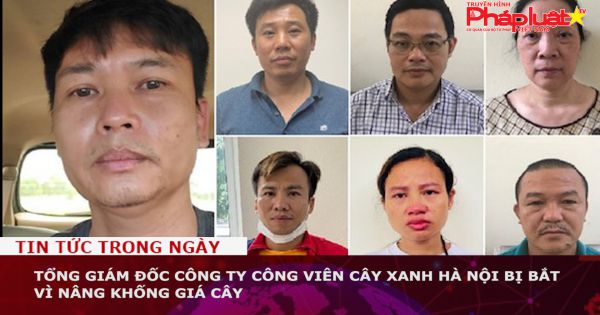 Tổng giám đốc Công ty Công viên cây xanh Hà Nội bị bắt vì nâng khống giá cây