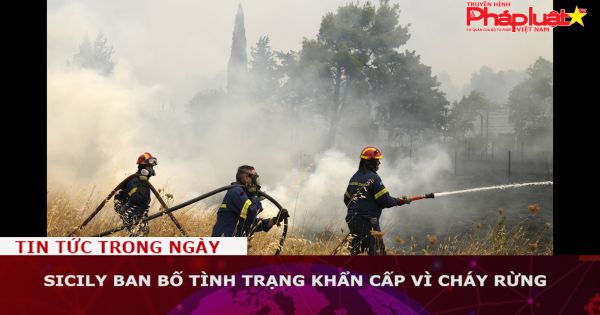 Sicily ban bố tình trạng khẩn cấp vì cháy rừng