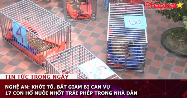 Nghệ An: Khởi tố, bắt giam bị can vụ 17 con hổ nuôi nhốt trái phép trong nhà dân