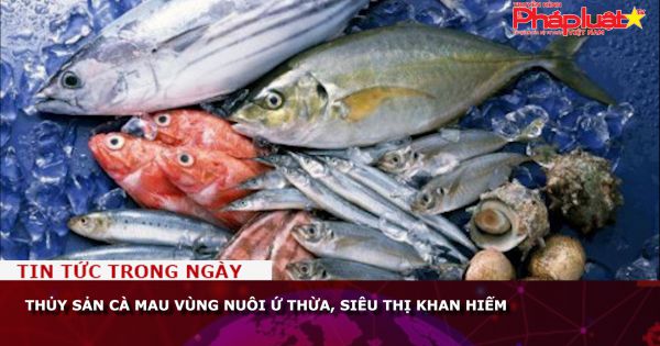 Thủy sản Cà Mau vùng nuôi ứ thừa, siêu thị khan hiếm