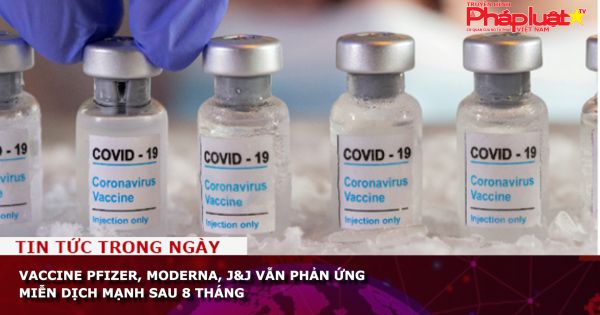 Vaccine Pfizer, Moderna, J&J vẫn phản ứng miễn dịch mạnh sau 8 tháng