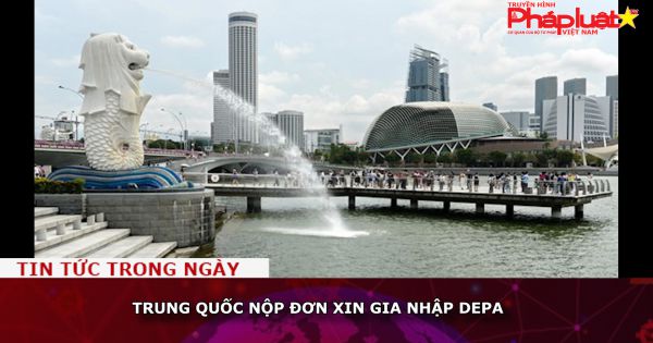 Trung Quốc nộp đơn xin gia nhập DEPA