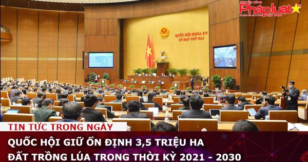 Quốc hội giữ ổn định 3,5 triệu ha đất trồng lúa trong thời kỳ 2021 - 2030