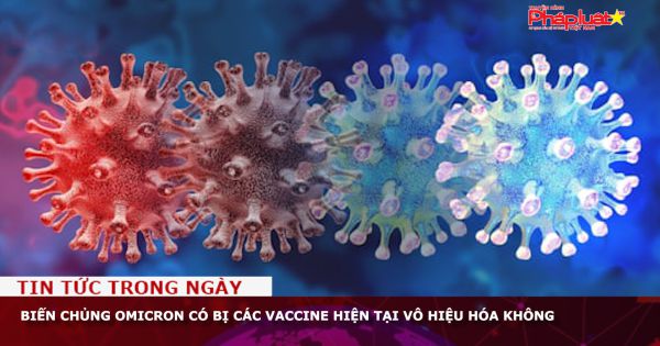 Biến chủng Omicron có bị các vaccine hiện tại vô hiệu hóa không?