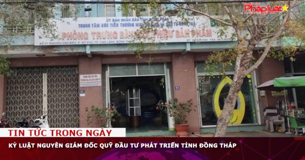 Kỷ luật nguyên giám đốc Quỹ đầu tư Phát triển tỉnh Đồng Tháp