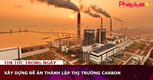 Xây dựng Đề án thành lập thị trường carbon